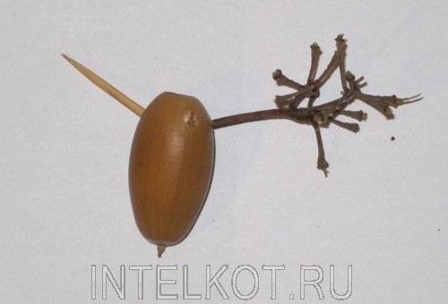 Поделка олень: самые лучшие схемы изготовления красивых и простых поделок
