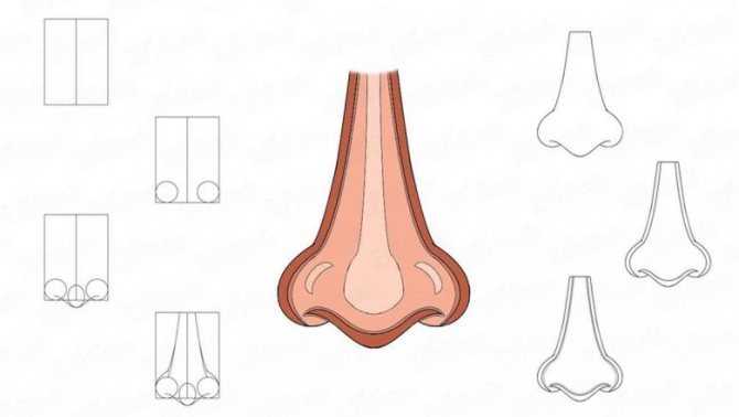 Как нарисовать нос человека карандашом — поэтапные мастер-классы для начинающих